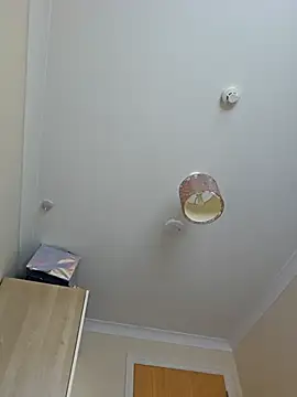 Snapshot of meateater1 chatting on November 1, 10:39 am meateater1 online show from November 1, 10:39 am