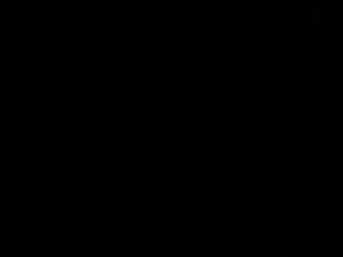 ArtemMR online show from December 13, 10:34 pm