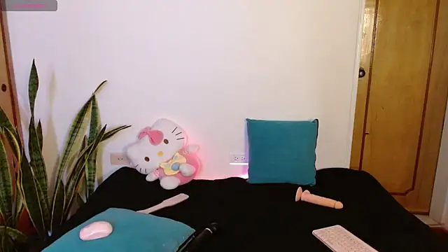 Snapshot of kittycatw chatting on December 17, 9:21 pm kittycatw online show from December 17, 9:21 pm