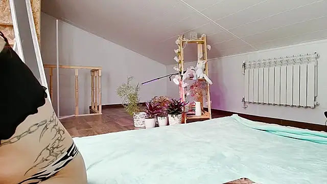 Meowroslava online show from November 19, 10:04 am