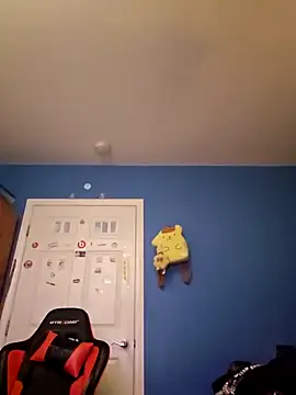 Snapshot of snortrax chatting on December 13, 2:10 am snortrax online show from December 13, 2:10 am