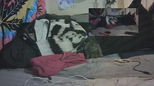 Snapshot of jaxx12369 chatting on February 11, 12:17 am jaxx12369 online show from February 11, 12:17 am