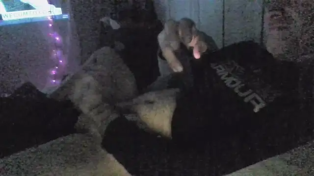 Snapshot of jaxx12369 chatting on December 5, 6:55 am jaxx12369 online show from December 5, 6:55 am