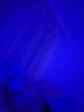 Snapshot of denisxlRo chatting on March 16, 8:11 pm denisxlRo online show from March 16, 8:11 pm