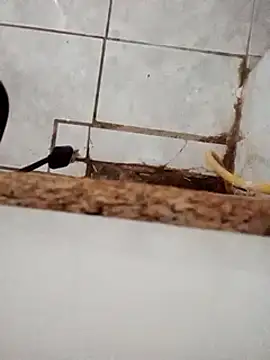 Snapshot of DirtyRcride chatting on December 3, 8:16 am DirtyRcride online show from December 3, 8:16 am