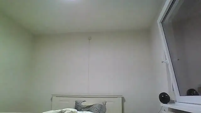 Snapshot of Wesleymodel chatting on February 10, 7:18 pm Wesleymodel online show from February 10, 7:18 pm