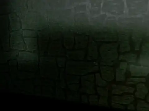 Lilyevansx online show from October 12, 4:06 pm