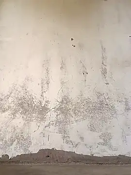 Snapshot of Yasha_14C_Creator chatting on November 8, 7:19 am Yasha 14C Creator online show from November 8, 7:19 am