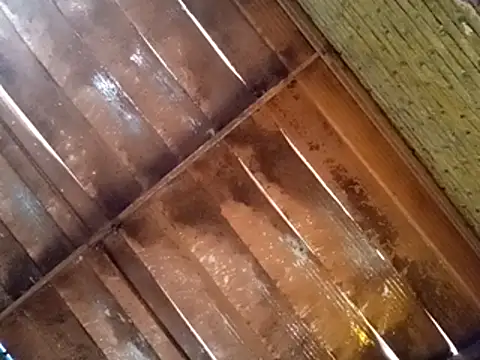 Pablunt-rap online show from November 14, 2:16 pm