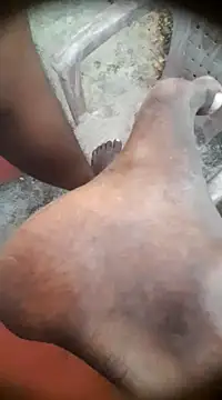 Tamil boy age28 online show from January 14, 12:24 pm