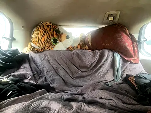 SlimeCrownzOut5 online show from November 18, 6:01 pm