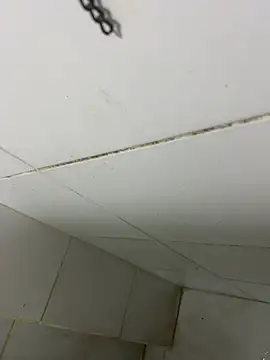 Snapshot of thfrances chatting on February 27, 3:39 am thfrances online show from February 27, 3:39 am