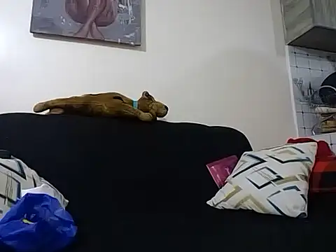 hoely grail01 online show from December 5, 7:54 pm