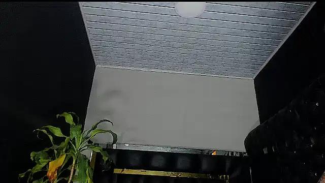 Snapshot of Kitie_Petarda chatting on October 19, 9:59 pm Kitie Petarda online show from October 19, 9:59 pm