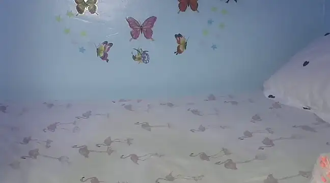 laetitia  online show from February 26, 12:27 am