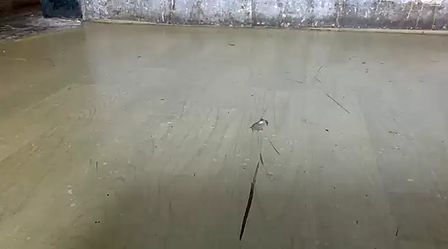 itstherahul online show from February 17, 7:37 am