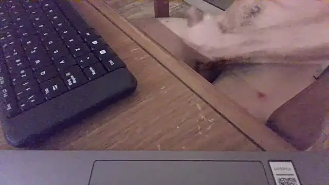 nicolaaaaas online show from February 14, 4:58 am