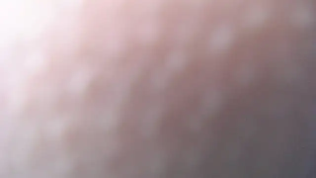 luly pink online show from December 20, 7:22 am