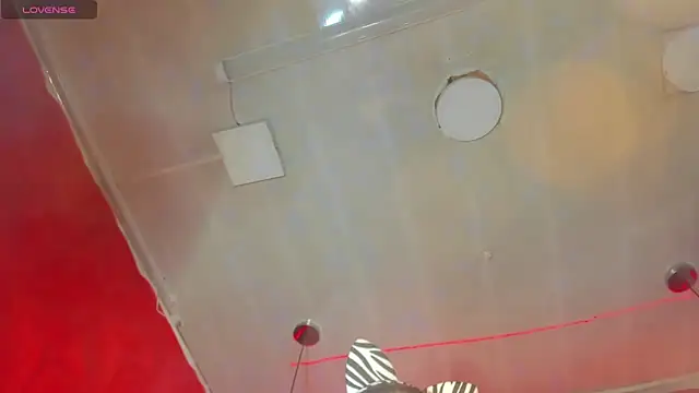 Taylor-hardcore online show from February 14, 2:02 pm