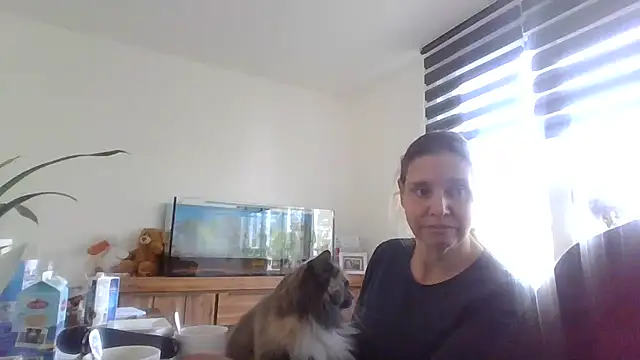 Mir boobs  online show from November 3, 11:11 am