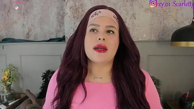 Snapshot of Scarlett_grey1 chatting on December 28, 5:33 am Scarlett grey1 online show from December 28, 5:33 am