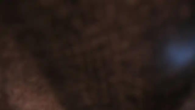 AliceHanz online show from January 8, 4:26 am