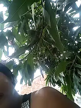 Berry Bans online show from March 13, 8:32 pm