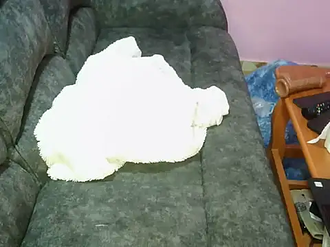 petitev online show from November 4, 9:41 am