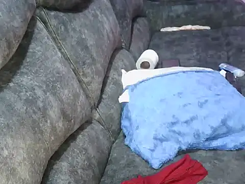 petitev online show from March 2, 5:08 am