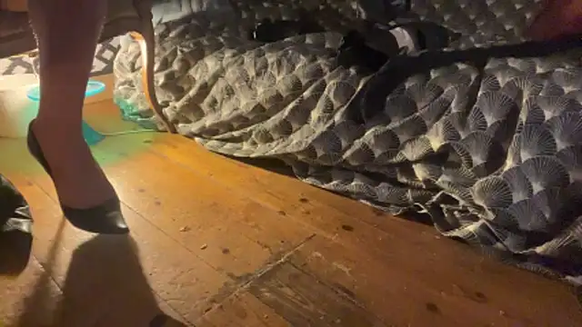 alexheels boots online show from December 3, 2:41 am