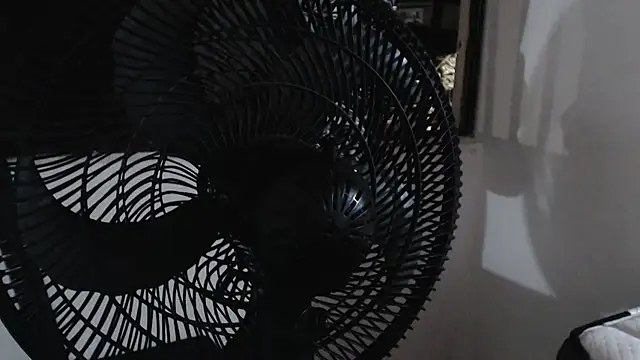 harry greg21 online show from November 15, 1:58 am