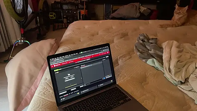 kameray12 online show from November 8, 4:56 am