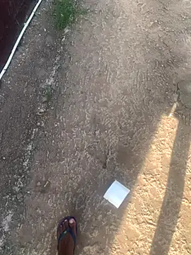 DManL online show from November 13, 4:44 am