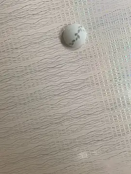 Snapshot of DManL chatting on January 6, 7:56 am DManL online show from January 6, 7:56 am