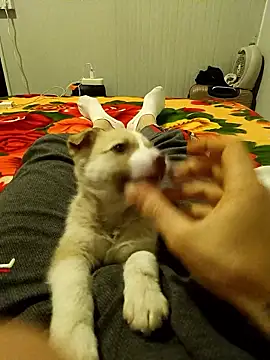 arenn1997 online show from January 10, 12:23 am