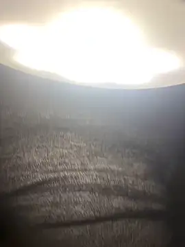 amy gata online show from February 3, 8:52 am