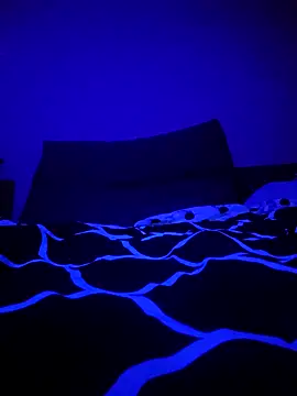 Snapshot of McdyllanXX chatting on January 11, 1:06 am McdyllanXX online show from January 11, 1:06 am