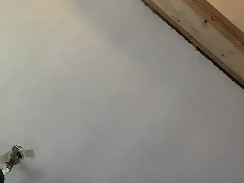 Brando2585 online show from March 7, 2:03 pm