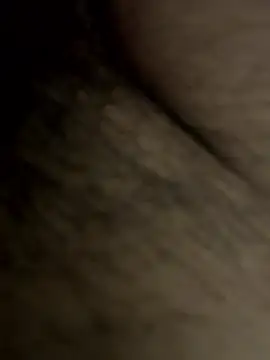 Desibullrck online show from April 3, 5:00 pm