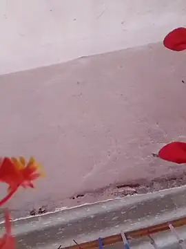 HOTDEEKCHA online show from March 15, 8:58 am