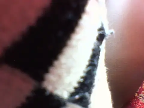 Snapshot of Princess_Tamara chatting on November 21, 11:36 pm Princess Tamara online show from November 21, 11:36 pm