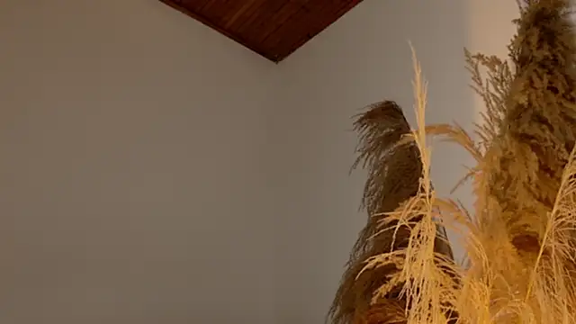 SaraFerreira online show from December 12, 11:47 pm