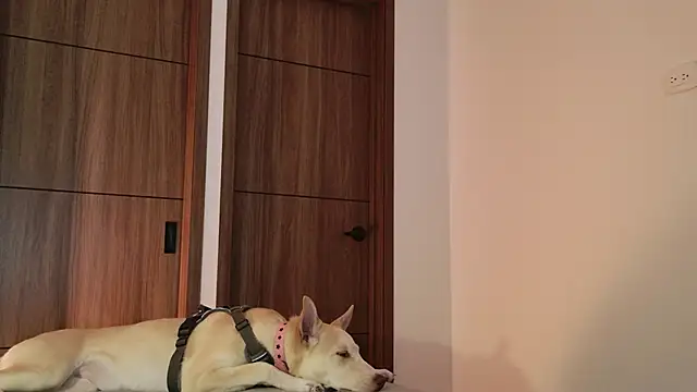 Snapshot of Hot_Couple666 chatting on September 9, 1:49 am Hot Couple666 online show from September 9, 1:49 am