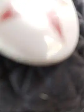 taaylor33 online show from February 27, 8:20 pm