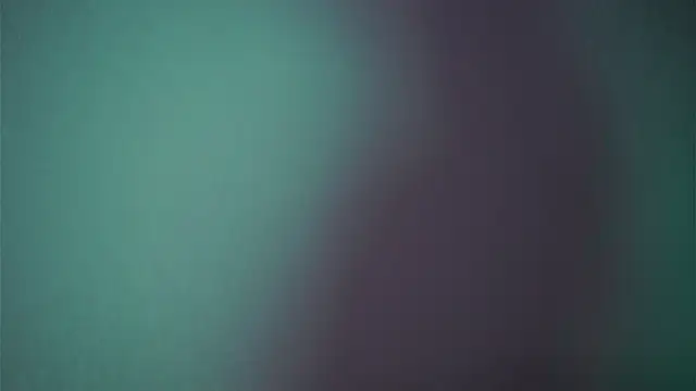 ginger hugs online show from February 18, 1:10 am