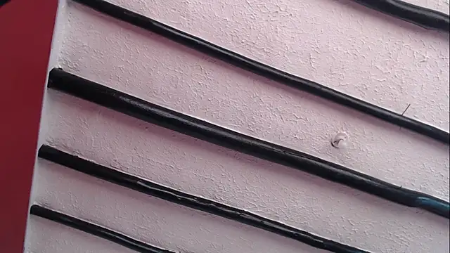 Freyja eter online show from December 9, 1:55 pm