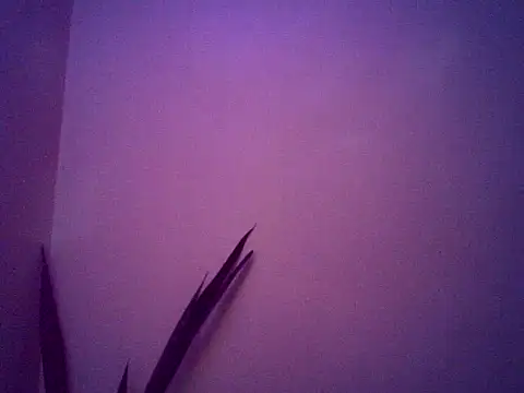 Snapshot of Malandralle chatting on November 25, 5:29 am Malandralle online show from November 25, 5:29 am