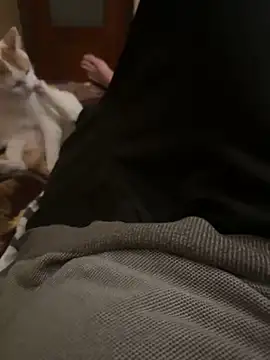 Snapshot of bigboy30X chatting on October 31, 4:19 pm bigboy30X online show from October 31, 4:19 pm