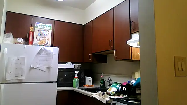 DreamvilleINC online show from November 2, 11:51 pm