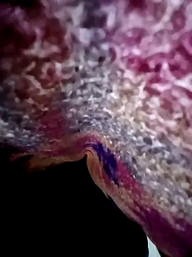 Snapshot of morenogts69 chatting on October 24, 1:29 pm morenogts69 online show from October 24, 1:29 pm